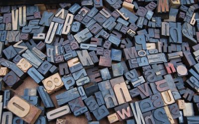 Difference between which and what